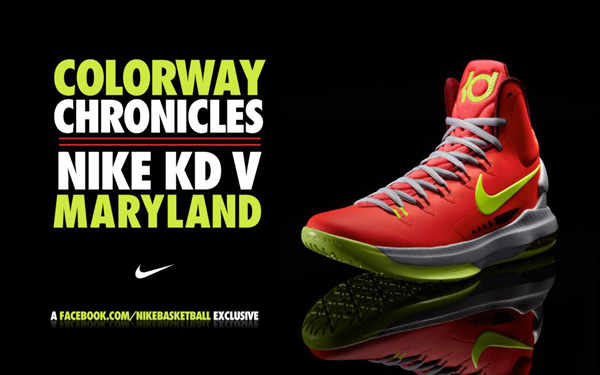 Nike KD 5 DMV