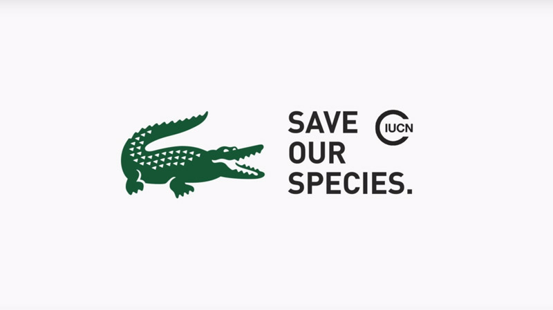 save our species lacoste buy