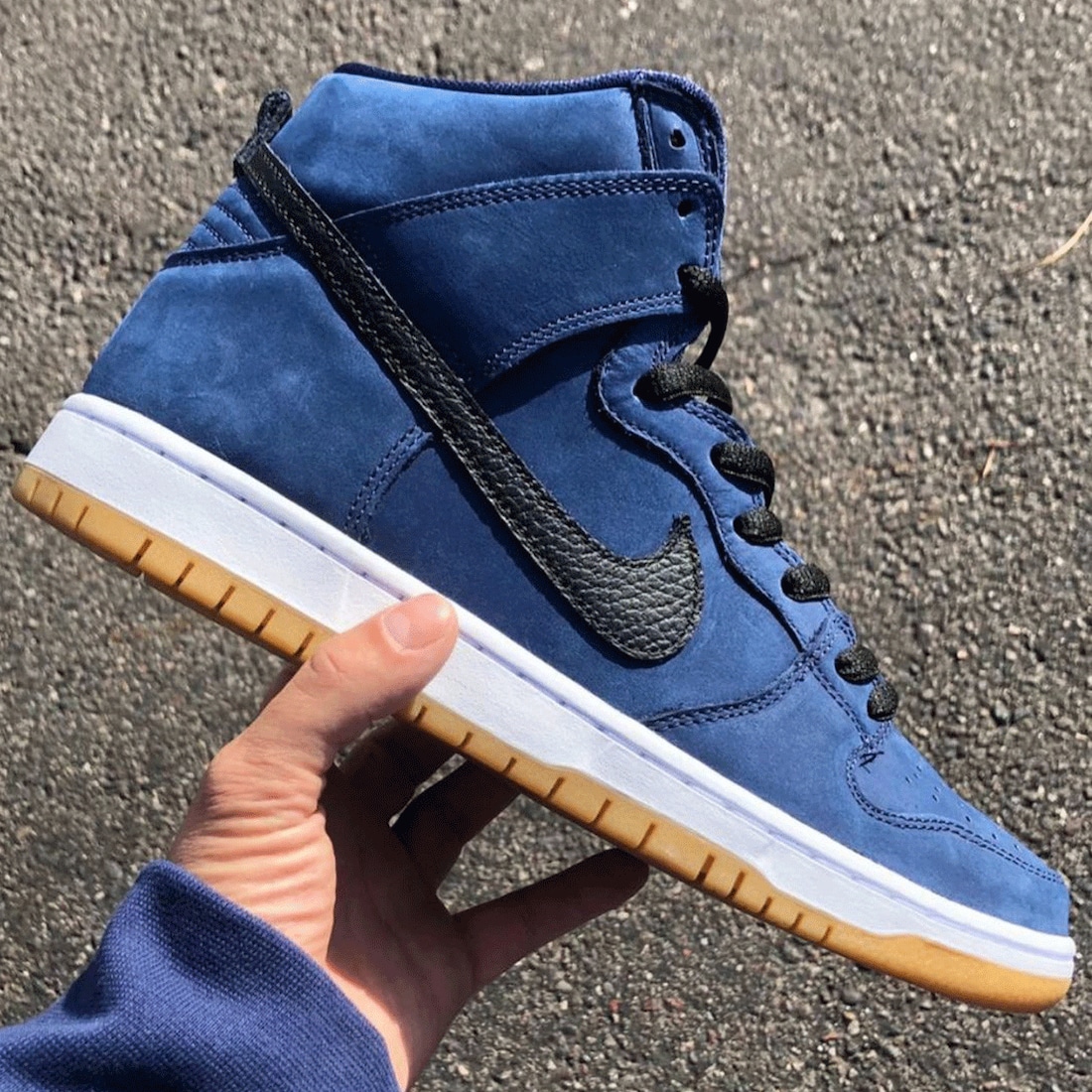 nike dunk high pro iso