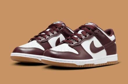 preview nike dunk low coffee brown hj9282 100 2 440x290